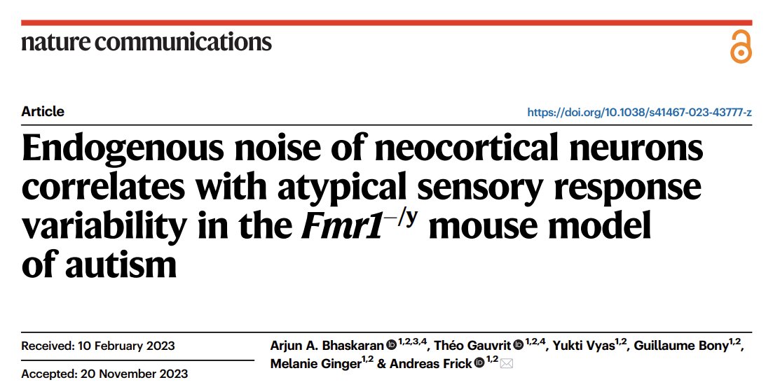 Our publication is out in Nature Communications! We recorded from individual neurons (in vivo) in a mouse mode of #Autism, and found that atypical sensory response variability is correlated with endogenous sources of noise in the cortex! Find it here: nature.com/articles/s4146…