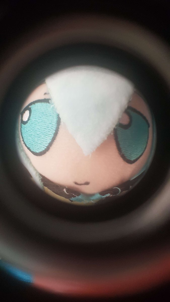 RandomPlushies's tweet photo. She wants to enter your home https://t.co/ZO7cwgABPr
