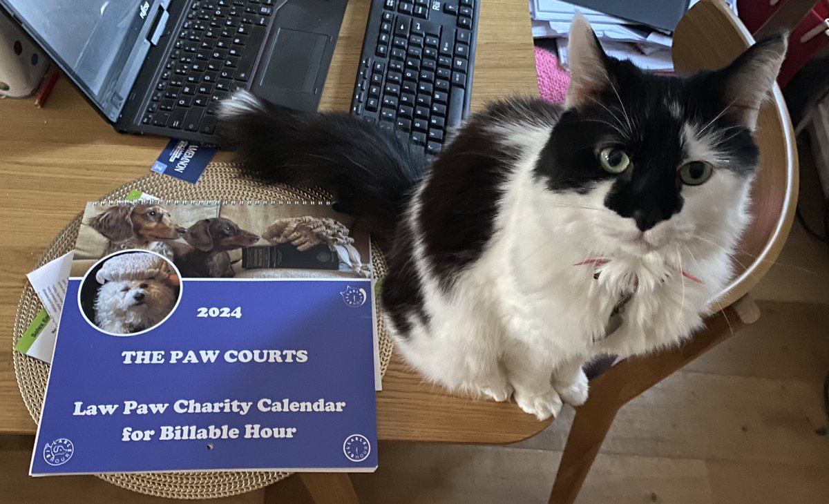 @LawPawCalendar It’s arrived! I’m thrilled (as is Dudley)