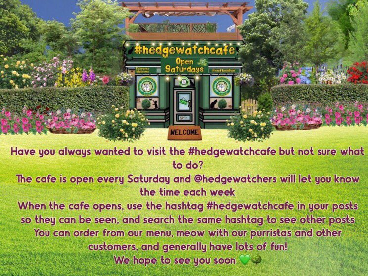 Hedgewatchers tweet picture
