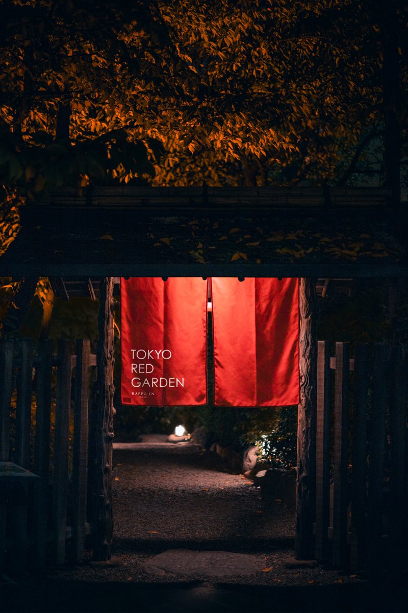 TOKYO RED GARDEN
八芳園の紅葉ライトアップ メッチャキレイでした🍁