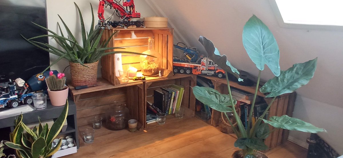 Maarten van Wijk tweet media