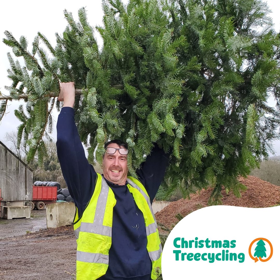 Our Christmas treecycling scheme is back!

We’re supported by Greenway Tree Care and @JBEventHire to continue the season of goodwill by recycling your Christmas tree while raising funds for Sue Ryder.