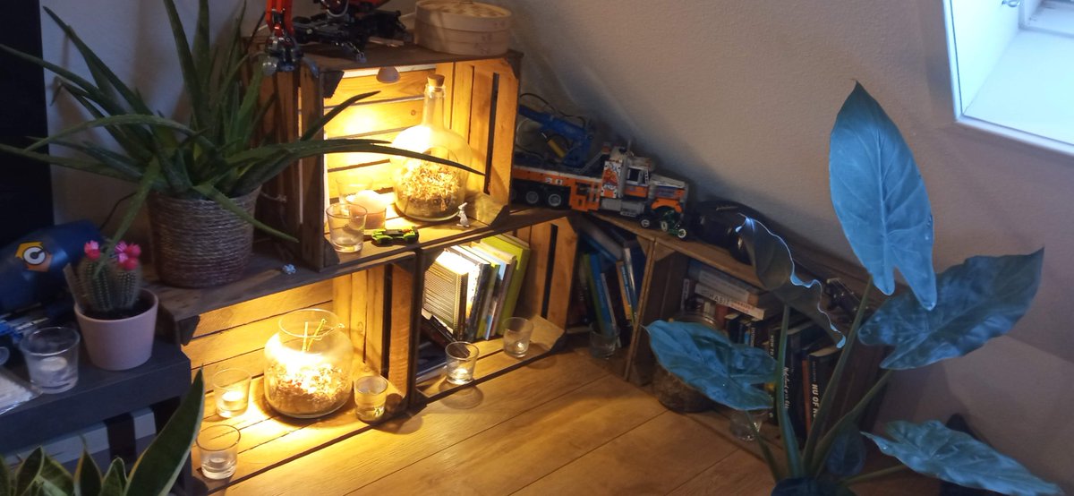 Maarten van Wijk tweet media