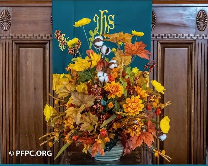 pcusabingewatch's tweet photo. Providence Forge Presbyterian #ProvidenceForge #Virginia
Sanctuary Flowers Nov. 19, 2023.
#FridayFlowers
#Presbyterian #pcusa @SynAtlantic #FlowersOfTwitter #FlowersonFriday #tbthursday #tbt https://t.co/pOu0qx8yh4