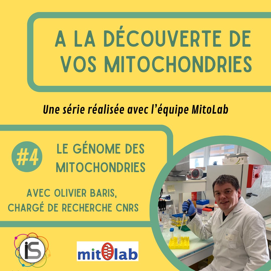 🆕 Nouvel épisode de notre #série ! 

⁉️ Savez-vous que nous possédions un autre #ADN ? 

🧬 <a href="/BarisOlivier/">Baris Olivier</a>, membre de <a href="/mitovasc/">MitoVasc</a>, étudie le #génome mitochondrial de près et son lien avec le #vieillissement ! 

 🎧📝 Allez écouter et/ou lire ce sujet (lien en bio) ! 

#science