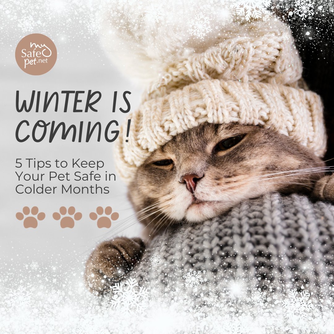 MySafePetNet's tweet image. Keep your pets snug and protected all #winter long: 

❄️ Dress your pet for the #cold
❄️ Give your pet a cozy sleeping place
❄️ Protect your pet’s #paws from the salt &amp;amp; chemicals used to melt #snow! 
❄️Keep walks short
❄️ No eating snow