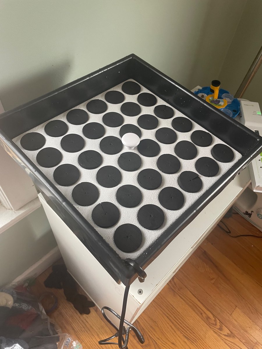 calebm49's tweet photo. Christmas keeps coming early for me lol. So excited to get this baby running to do some house plants to test her out. #cloneking #36spots #CannabisCommunity #CannaLand #growyourown https://t.co/rMHWRSblpn