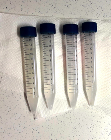 Homogenates containing #rice roots and endophytic #bacteria. <a href="/FutureGrain/">Future Grain</a>