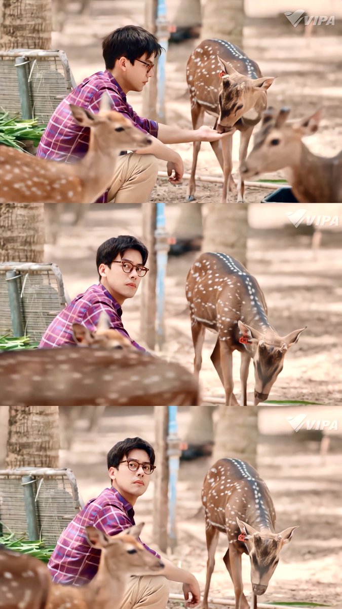 Cheryl_LU921's tweet image. 这个农场主不是有点儿帅，而是特别帅💙🦌🌳

#taedarvid💙
#HelloHappy 🔥
#สวัสดีความสุขEP4 🔥
#สวัสดีความสุข 🔥