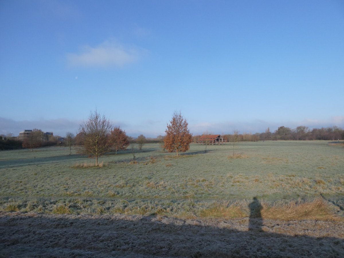 Clear frosty morning on Longrun Meadow and the first ice on Roughmoor Pond this winter.