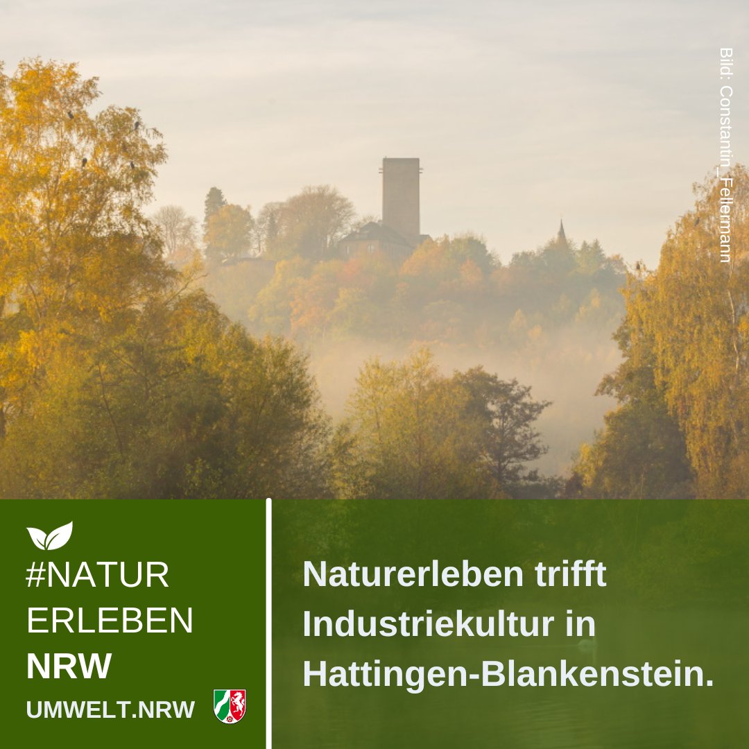 UmweltNRW's tweet photo. Im Hattinger Vorort #Blankenstein thront hoch über der #Ruhr die gleichnamige Burg.
Hier gibt es nicht nur einen einzigartigen Weitblick über das #Ruhrtal & ins #Ruhrgebiet, sondern auch Anbindung an #NaturErlebenNRW - kombiniert mit Industriekultur🏞
ℹ👉https://t.co/farQJYQN28 https://t.co/Qds6Ub4EOZ