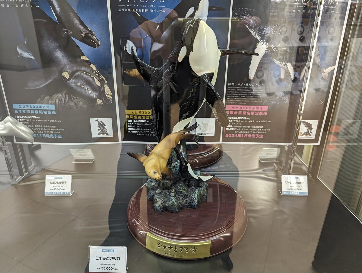 aquarium_ninja's tweet photo. 関東への出張帰り、久々の海洋堂ホビーロビー東京。
ようやくシャチとアシカの現物が見えました。
ウワサ通りのデカさに驚く。 https://t.co/WzrtGbTIOM