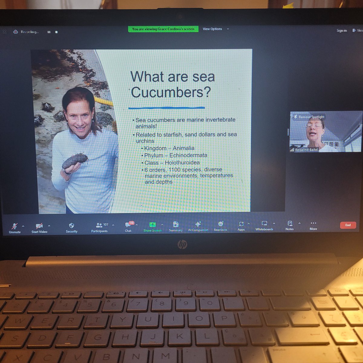 Juli-Anne Russo PhD (@phdfishdoctor) on Twitter photo Currently dying...we have 110 participants in our very first webinar for Caribbean teachers๐๐๐
With <a href="/panasealife/">Panasealife</a> Rosalind Baitel teaching about seacucumber Currently dying...we have 110 participants in our very first webinar for Caribbean teachers๐๐๐
With <a href="/panasealife/">Panasealife</a> Rosalind Baitel teaching about seacucumber