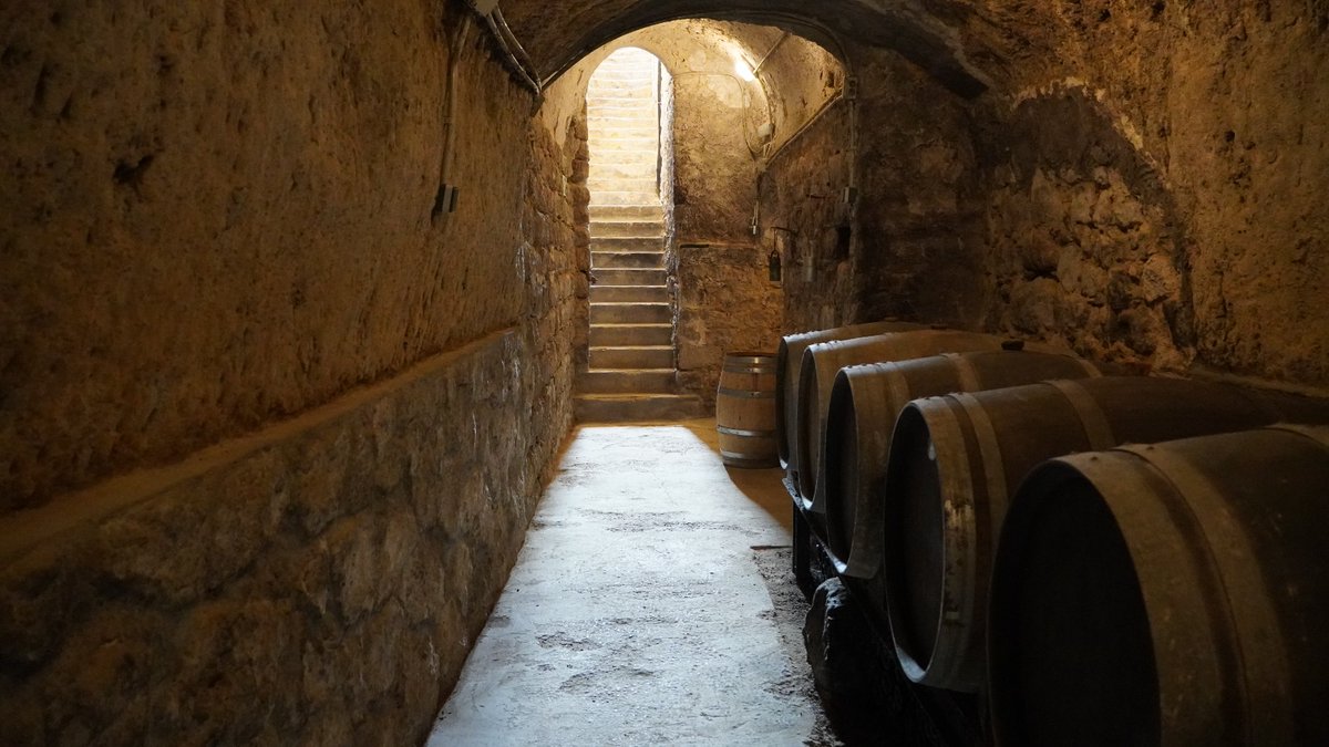 WelcomeCastillayLeon tweet media