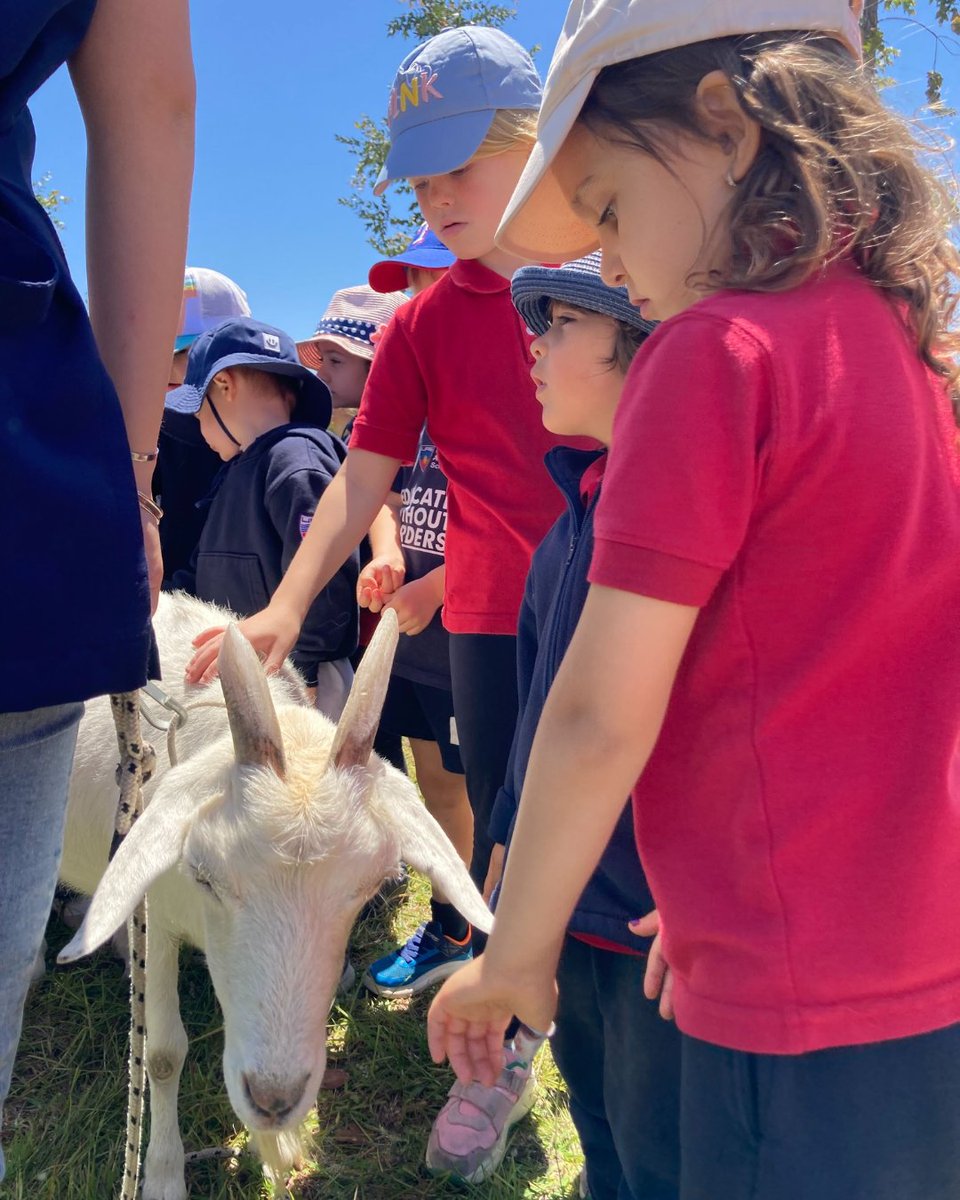 UASLearns's tweet photo. With warmer days upon us, our Early Childhood students are soaking up the joys of outdoor education. 🌞 A recent trip to El Charbón Farm showcased this beautifully. #UASOutdoorLearning #EarlyChildhoodEducation https://t.co/B9lDGACjei