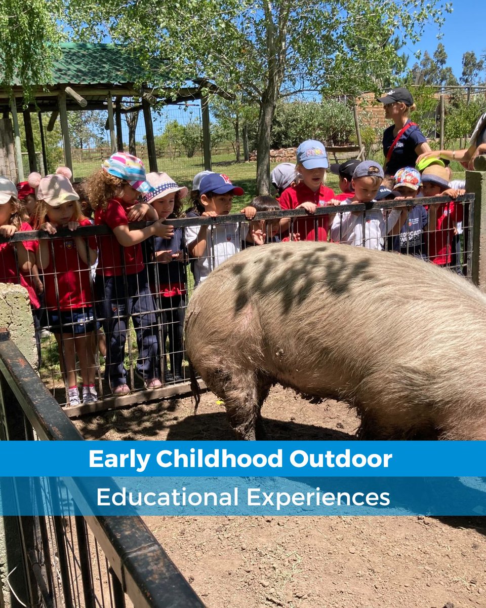 UASLearns's tweet photo. With warmer days upon us, our Early Childhood students are soaking up the joys of outdoor education. 🌞 A recent trip to El Charbón Farm showcased this beautifully. #UASOutdoorLearning #EarlyChildhoodEducation https://t.co/B9lDGACjei