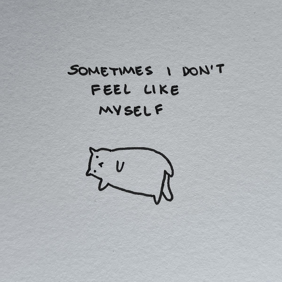 poorlycatdraw's tweet photo. some poorly drawn thoughts https://t.co/aGV9ifSBpT