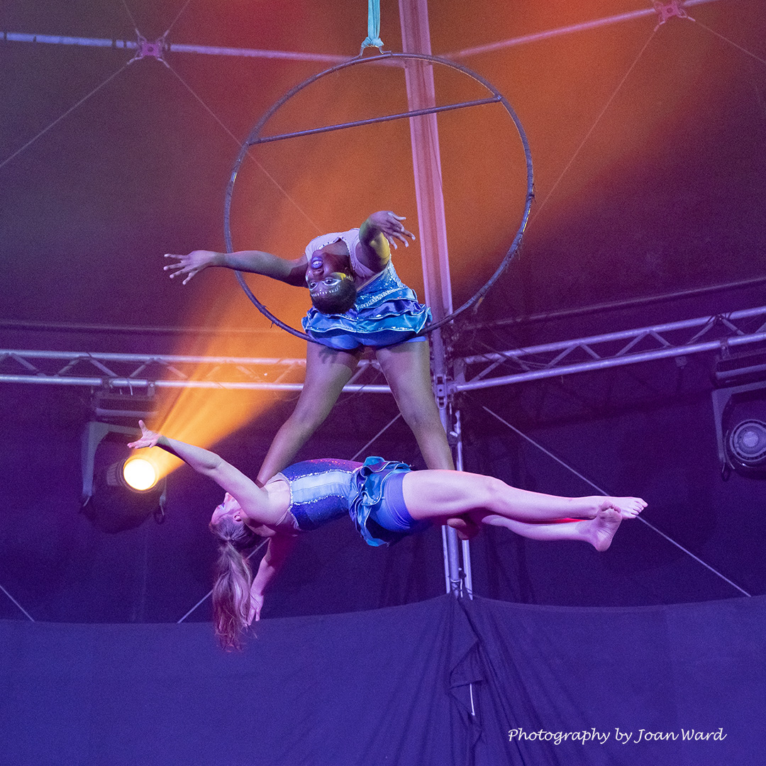 Zip Zap Circus (@zipzapcircus) on Twitter photo 1 WEEK UNTIL VOOMA OPENS!
Join us for an exploration of the magical world of circus - from trapeze to juggling and everything in between.
We'll be hosting our family-fun event at the Zip Zap Dome, 7 to 17 December 2023 at 6pm daily.
Book <a href="/QuicketSA/">Quicket South Africa</a>
quicket.co.za/events/237232-… 1 WEEK UNTIL VOOMA OPENS!
Join us for an exploration of the magical world of circus - from trapeze to juggling and everything in between.
We'll be hosting our family-fun event at the Zip Zap Dome, 7 to 17 December 2023 at 6pm daily.
Book <a href="/QuicketSA/">Quicket South Africa</a>
quicket.co.za/events/237232-…