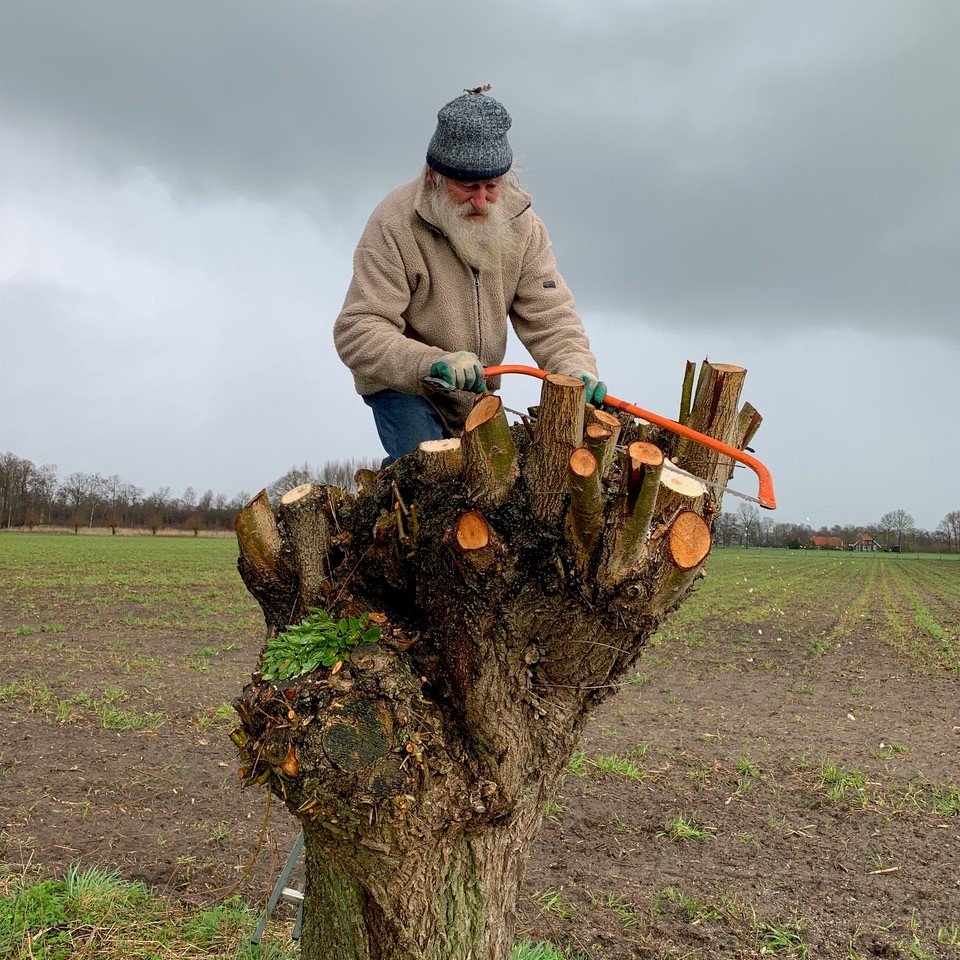 Hoera! #Vrijwilliger Sjef Taken uit Ruurlo is koninklijk onderscheiden! Hij is benoemd tot Lid in de Orde van Oranje-Nassau voor zijn inzet voor de landschapsbeheergroep IVN Noord-Midden Achterhoek en de Vogelwerkgroep Berkelland. slgelderland.nl/nieuws/sjef-ta…