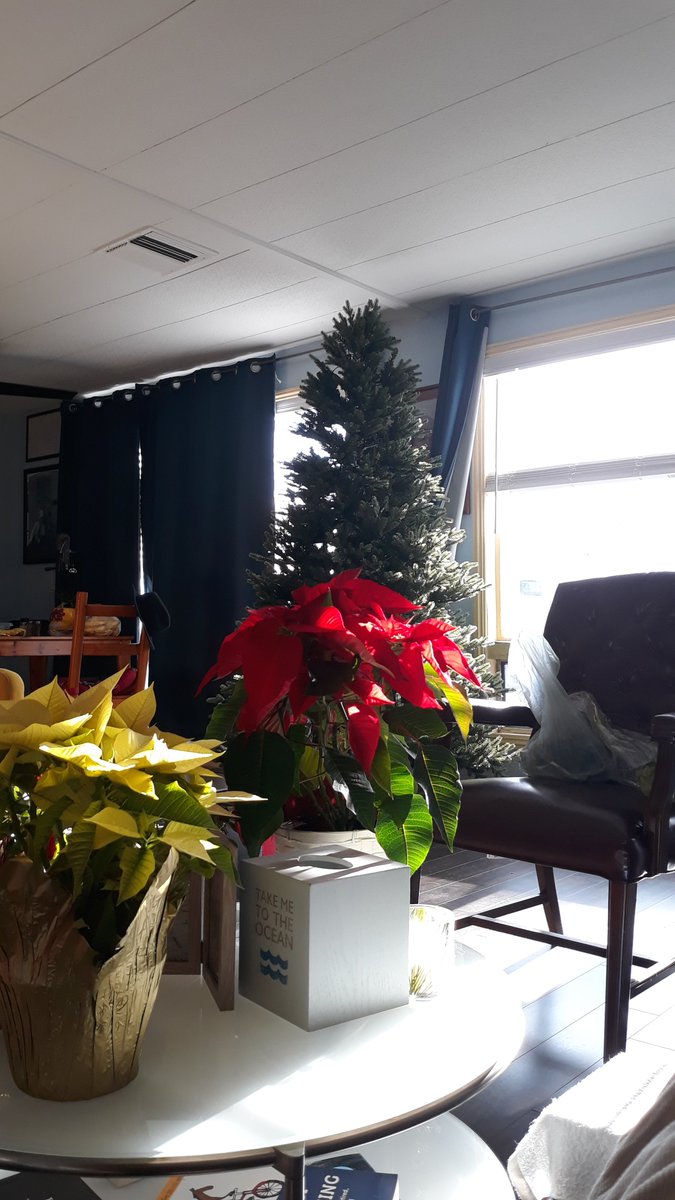 thejadesphinx's tweet photo. #OTD a few years ago, I was quite ill. While I was in bed, my husband crept into the shed, pulled out the Christmas tree and put it up for me.
That is love.
#Christmas #ChristmasTree #Christmasmemory #Christmas2023 #husband #marriage #OnThisDay #happilymarried #love #myhusband https://t.co/M706byKwkl