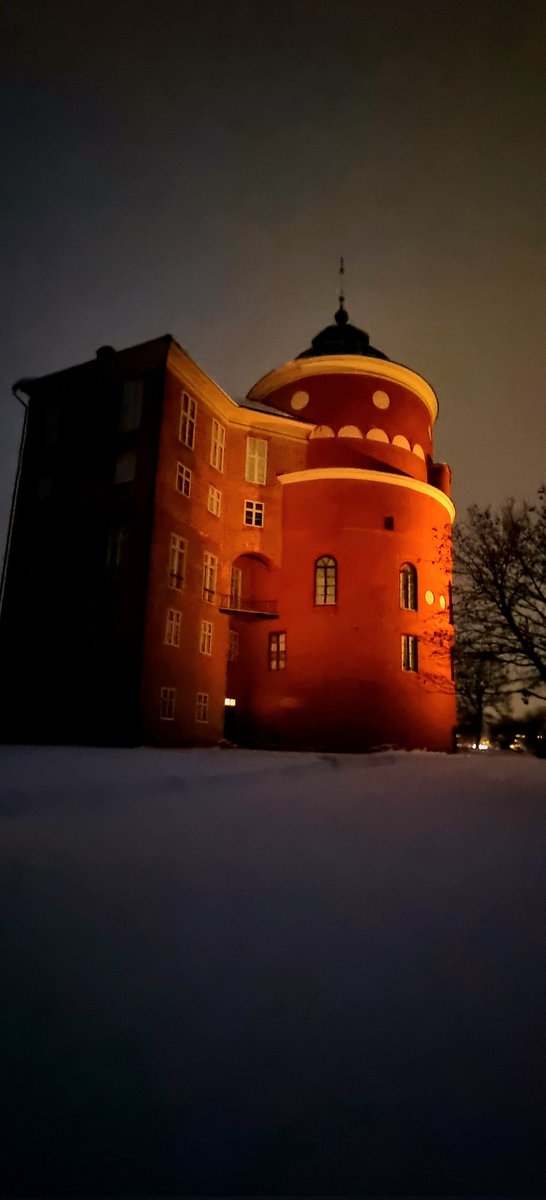 Gripsholm by night