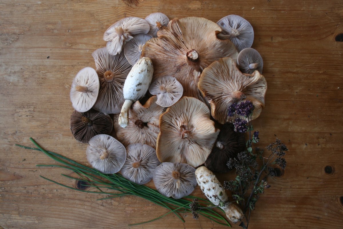 It has reached that time of the week again... our weekend newsletter is out! 😍

Get inspired with festive gift ideas, buy tickets for the latest Christmas concerts, and step into Christmas with top Brandies! 💫🎄

Click below to read more:
preview.mailerlite.com/e6q4s9a5o6