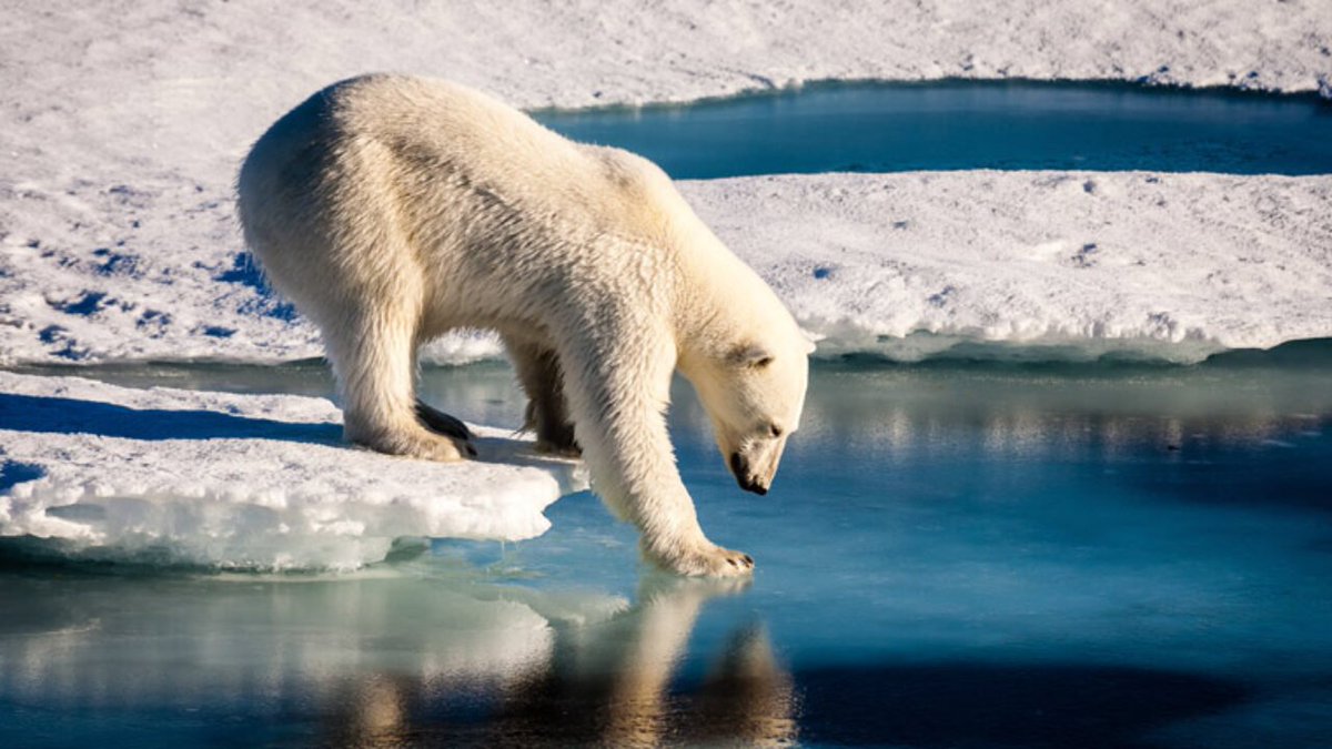 St Andrews Geography & SD tweet media