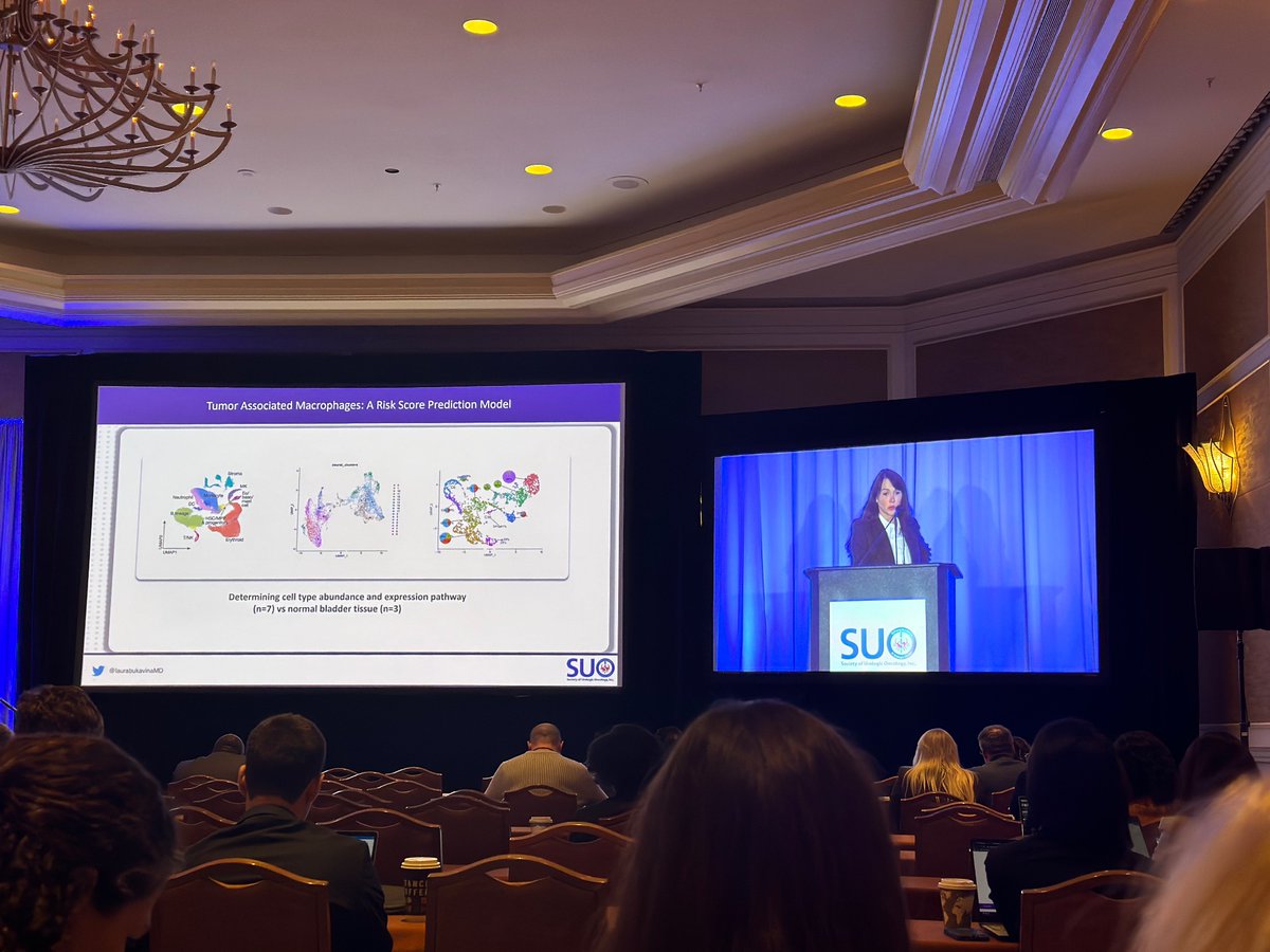 Andres Correa (@urocorrea) on Twitter photo Phenomenal talk from super star <a href="/LauraBukavinaMD/">Laura Bukavina</a> on role of macrophages in bladder cancer. <a href="/FCUroOnc/">Fox Chase Cancer Center Department of Urology</a> Phenomenal talk from super star <a href="/LauraBukavinaMD/">Laura Bukavina</a> on role of macrophages in bladder cancer. <a href="/FCUroOnc/">Fox Chase Cancer Center Department of Urology</a>