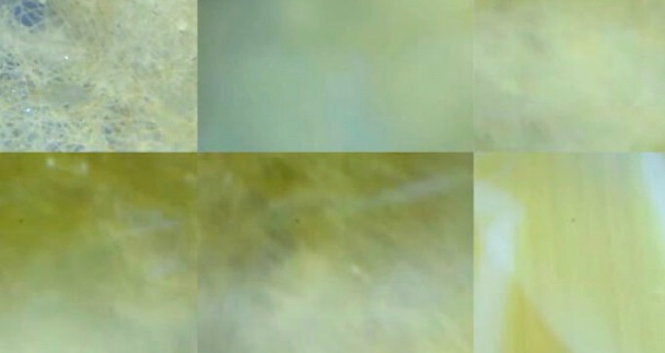 Aaron Bradshaw tweet media