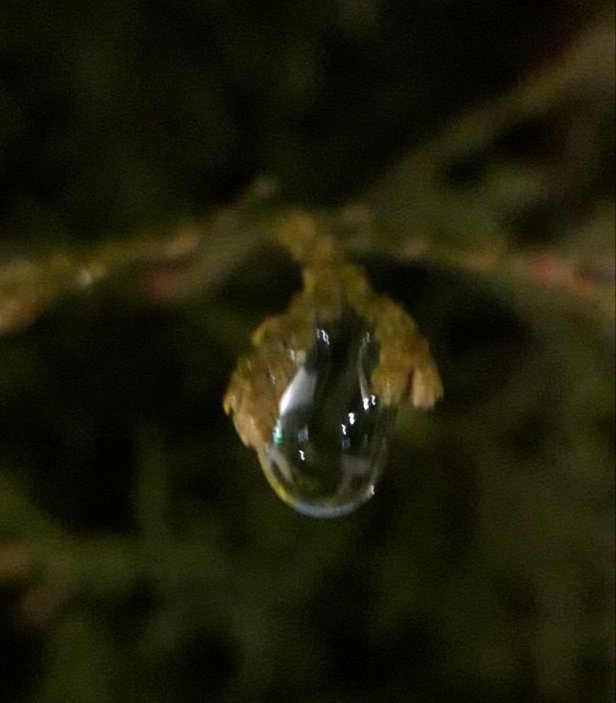 Does this look like a diamond pendant? 💎💎💎

#drop #snow #WINTER #pendant #beautifulphotos
#evening #night