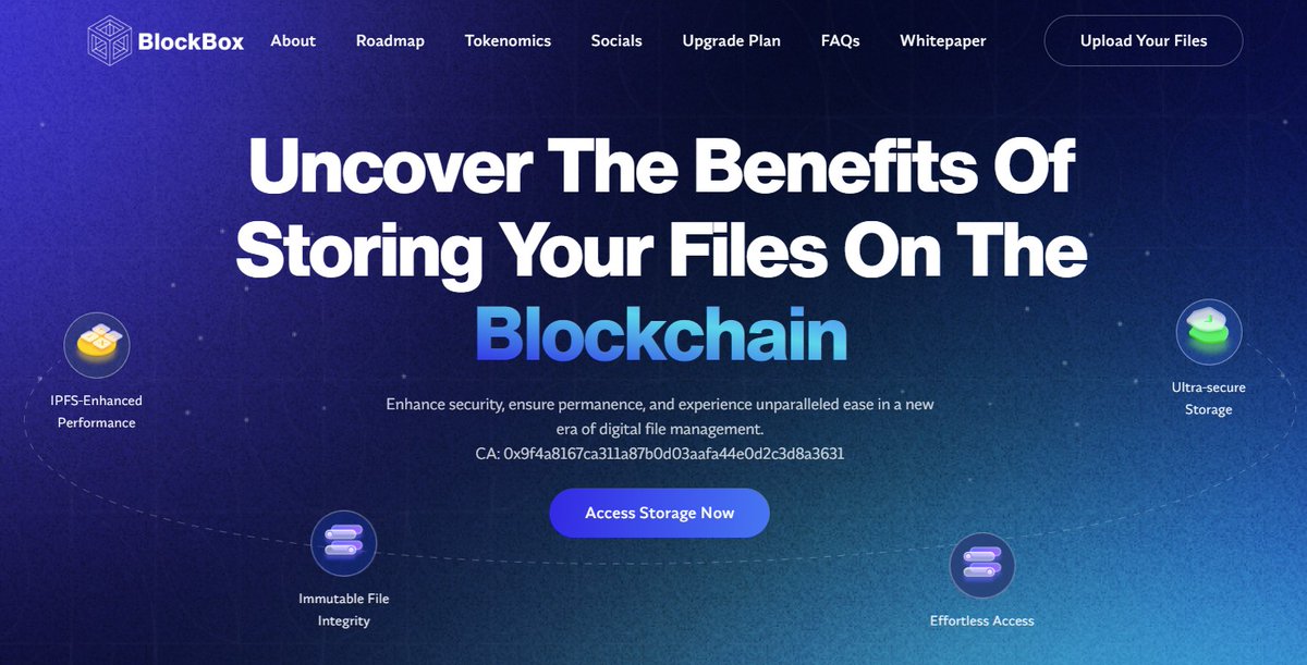 Pier CryptoMarcy tweet media