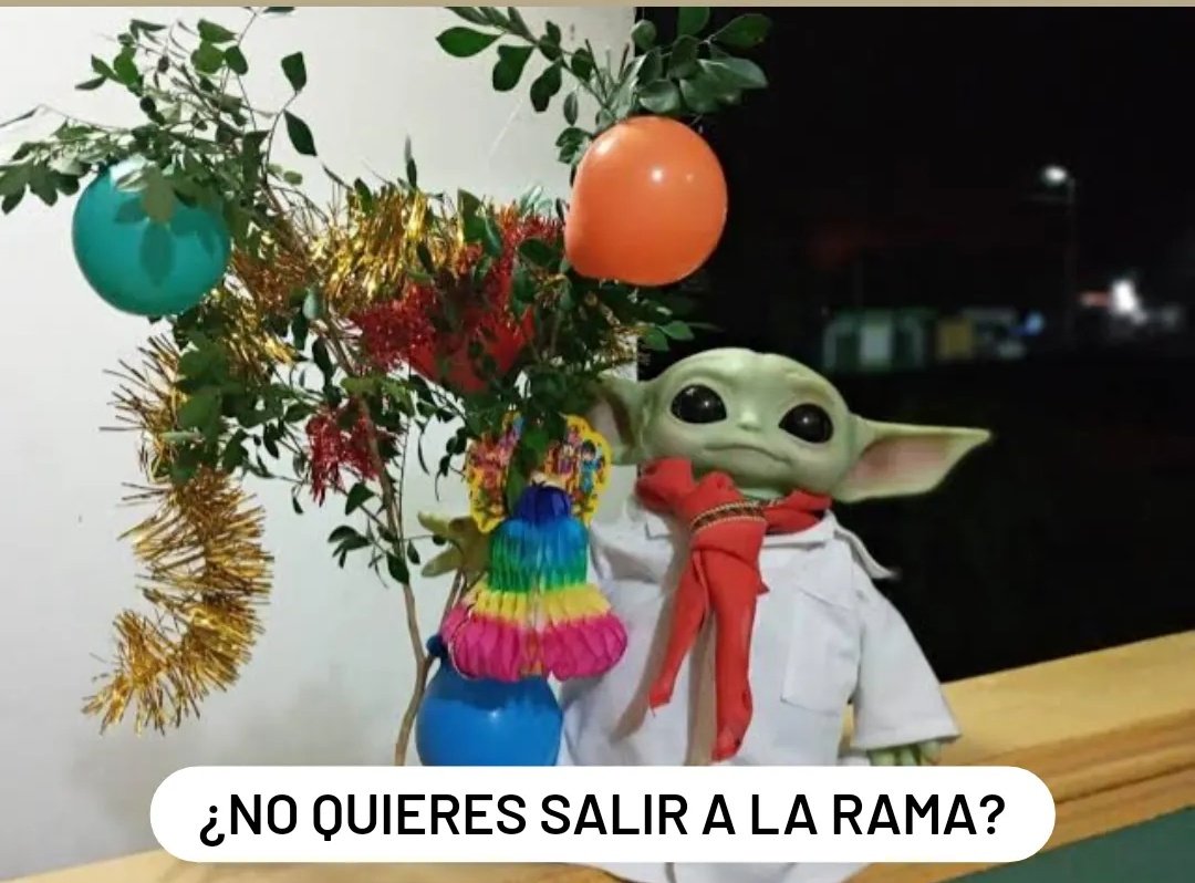 Carlitospindola's tweet photo. * inicia diciembre * 

- Los de Veracruz: https://t.co/B5p8R4UAQK
