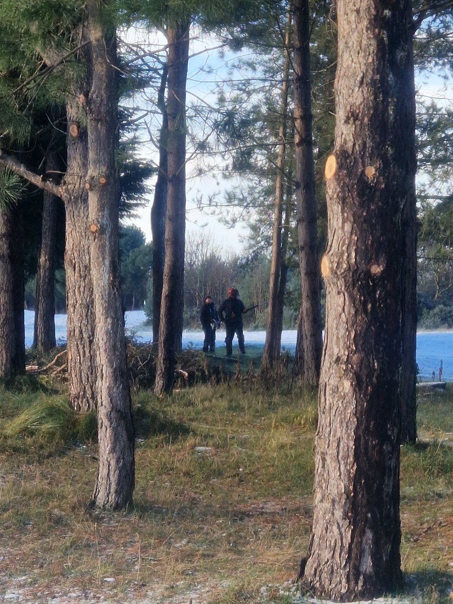 David Drummond tweet media