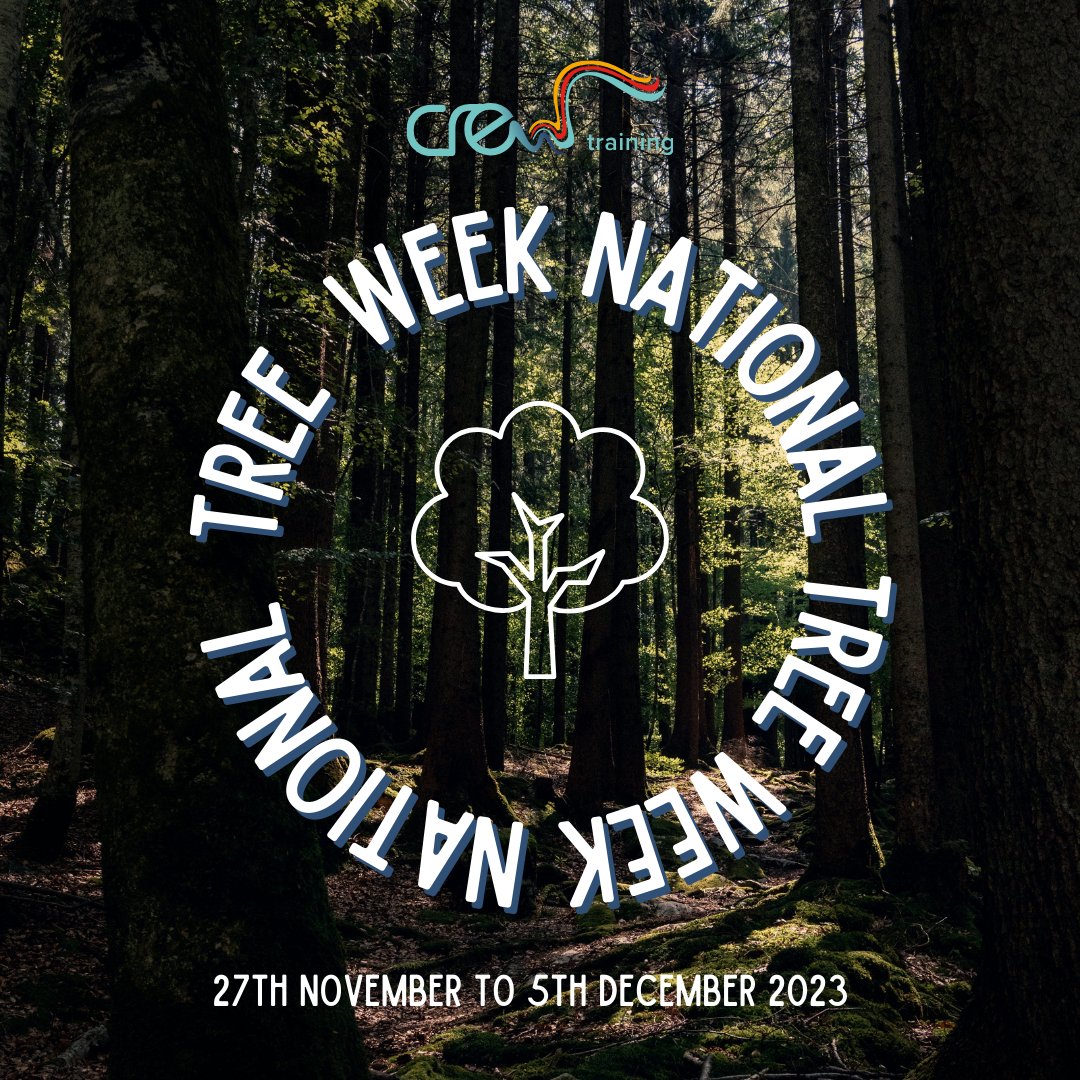 CREW_Training's tweet photo. 🌳 It's National Tree Week! 🌳

Let's celebrate the beauty and importance of trees in our lives. 

Trees provide us with clean air, shelter for wildlife, and contribute to a healthier planet. 🌍❤️ https://t.co/aMRqhL1I2J