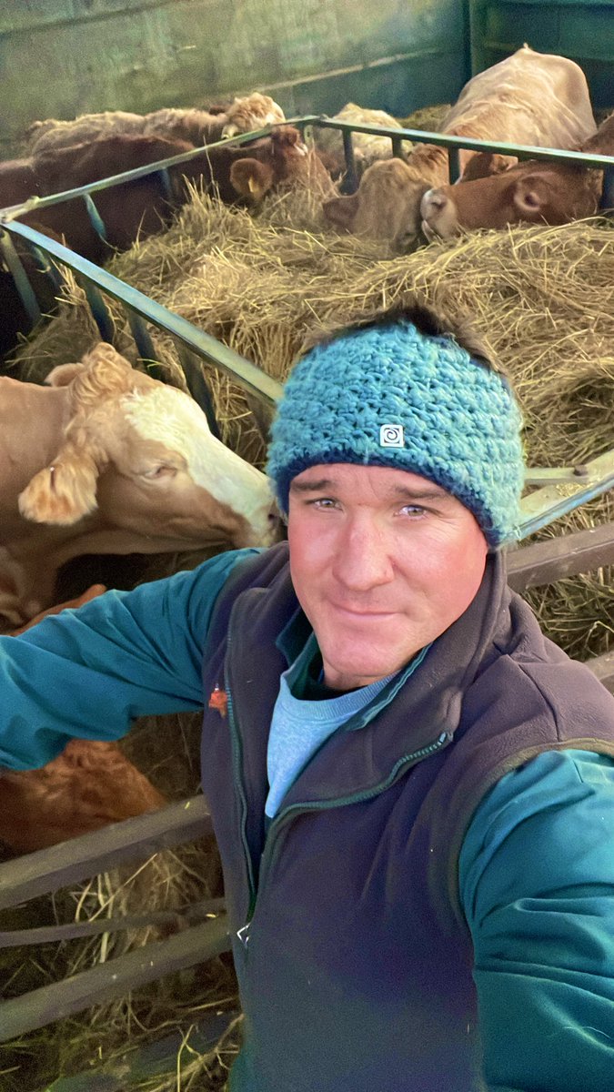 mattday82 tweet media