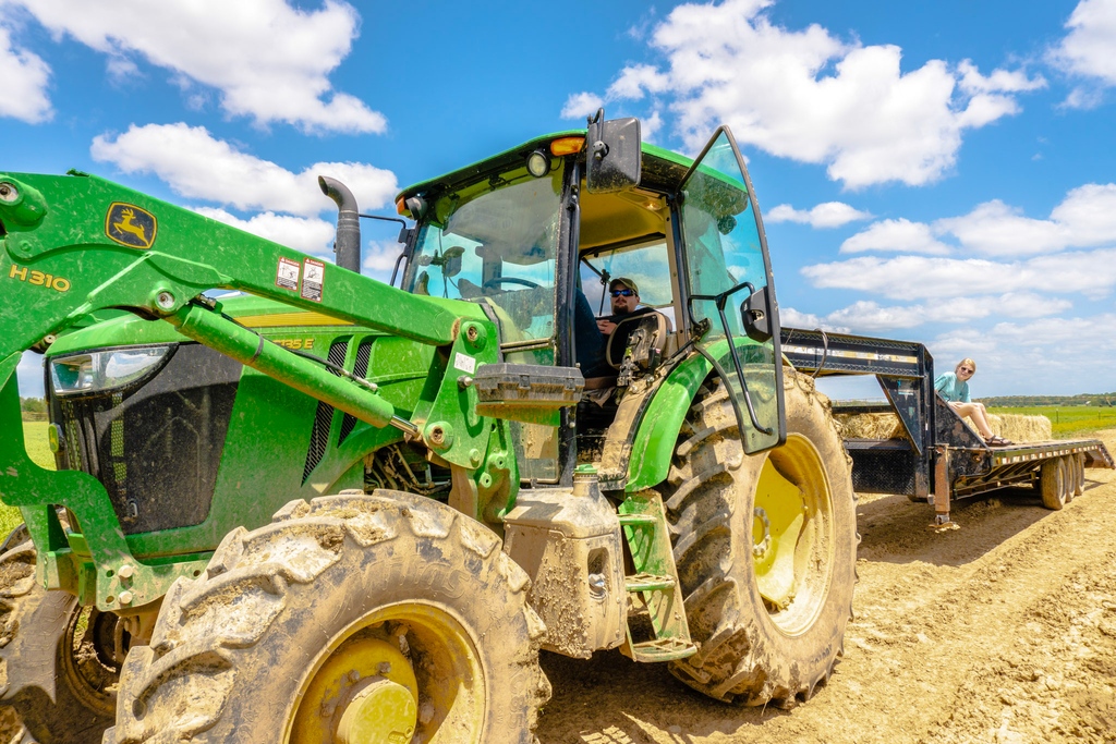 _NatGLC's tweet image. Dear Santa, I want something green and shiny for Christmas...🌲