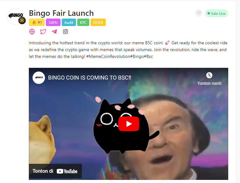 BINGO BSC tweet media