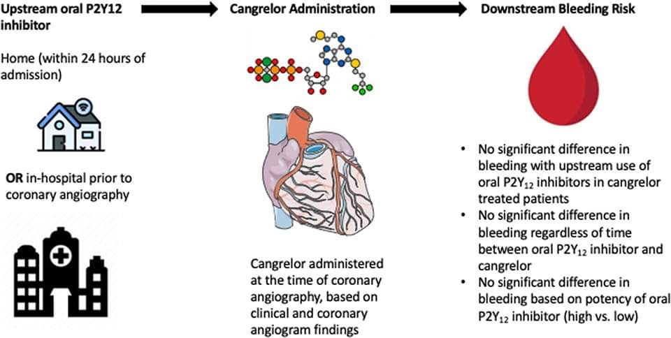 📖 Upstream use of oral P2Y12 inhibitors prior to cangrelor use in high-risk AMI pts is not associated with increased bleeding #myocardialinfarction
➡️  jscai.org/article/S2772-…
#CardioTwitter #Cardiology #cardioEd