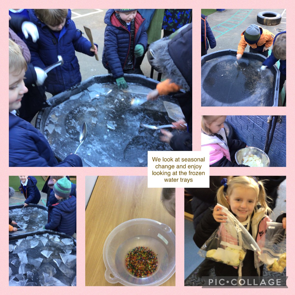 MrsHalsall02's tweet photo. Such a perfect week with my Hedgehogs. We feel so proud of you all this week. #WWPASCIENCE #WWPAPHSE #WWPACOMPUTING
Such a busy week for the Hedgehog family! https://t.co/BM36SEZKfR