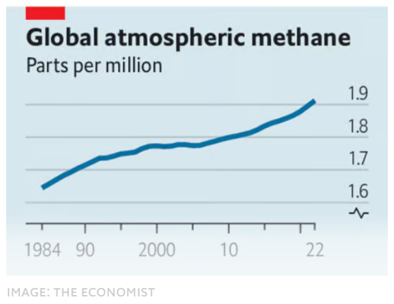 CWIFund (Collective Work International) tweet media
