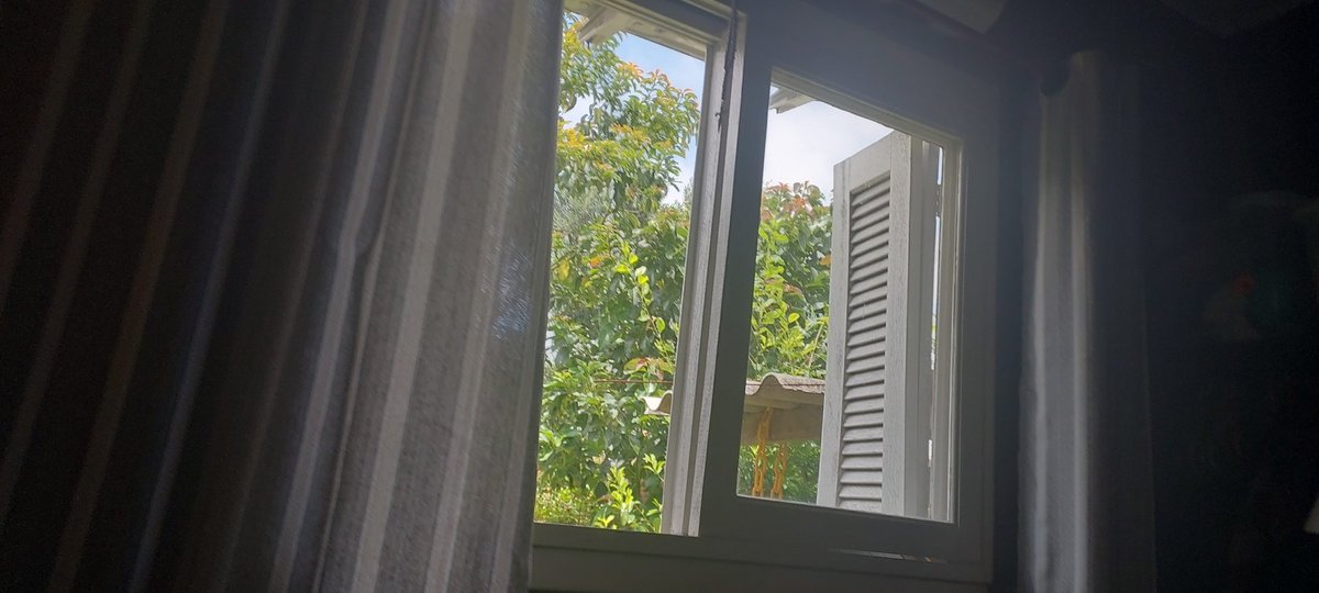 pro888's tweet photo. Bom saber que moro num paraíso..não que seja o lugar mais bonito..mas o clima é ótimo..o vento nordeste entrando nesta janela é tudo de bom..Osório RS https://t.co/1aufJjbJjJ