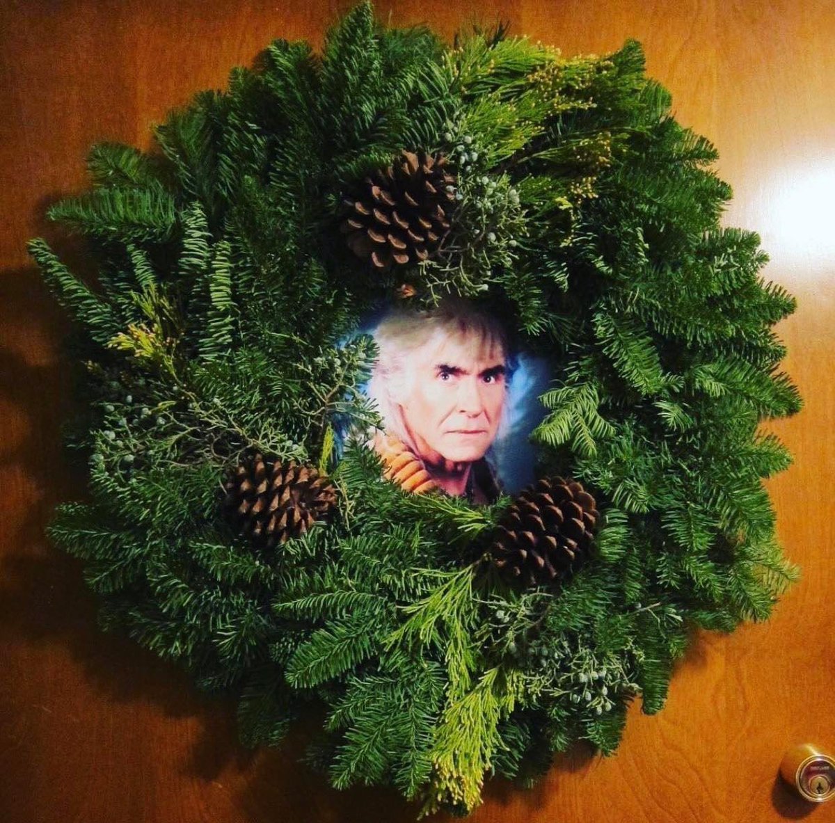 December! 🎄🎄🎄 #roddenberry #December2023 #wreathofkhan