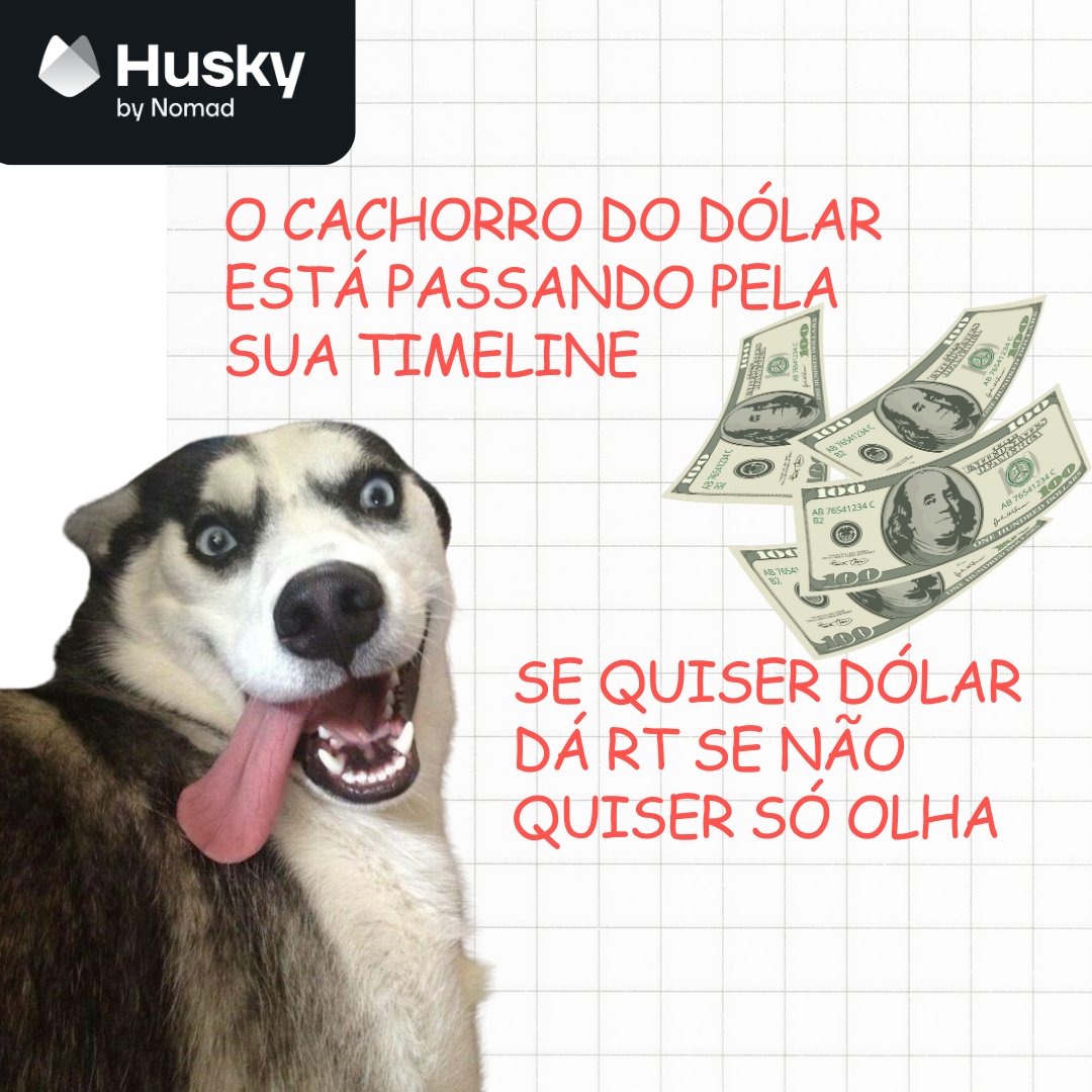 huskybynomad's tweet photo. 👀 https://t.co/O8mZohejBT