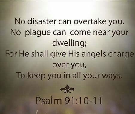 Angelmom337's tweet photo. Happy Friday Twitter family https://t.co/1VSXwpKR8h