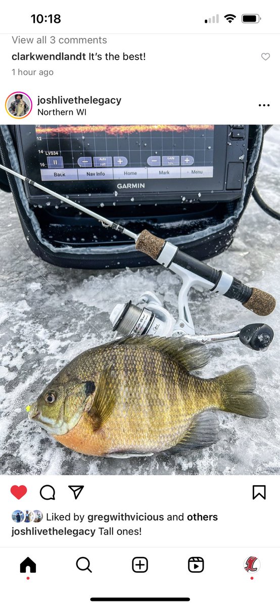 Who’s low key excited for catching big bluegill through the ice using Vicious Fishing Line this winter??? #fishing #icefishing #viciouspanfish #panfish #bluegill #viciousfishing #viciousfishingline #getvicious