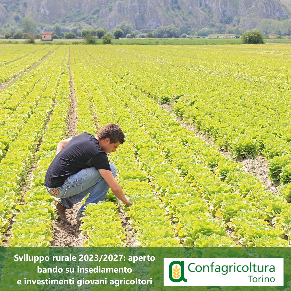 📌Sviluppo rurale 2023/2027: aperto bando su #insediamento e #investimenti #giovaniagricoltori

📆 A partire dall’11 dicembre prossimo fino al 14 marzo 2024

ℹ️ I #tecnici degli uffici di #Confagricoltura sono a disposizione 

📲 confagricolturatorino.it/notizia.asp?id…