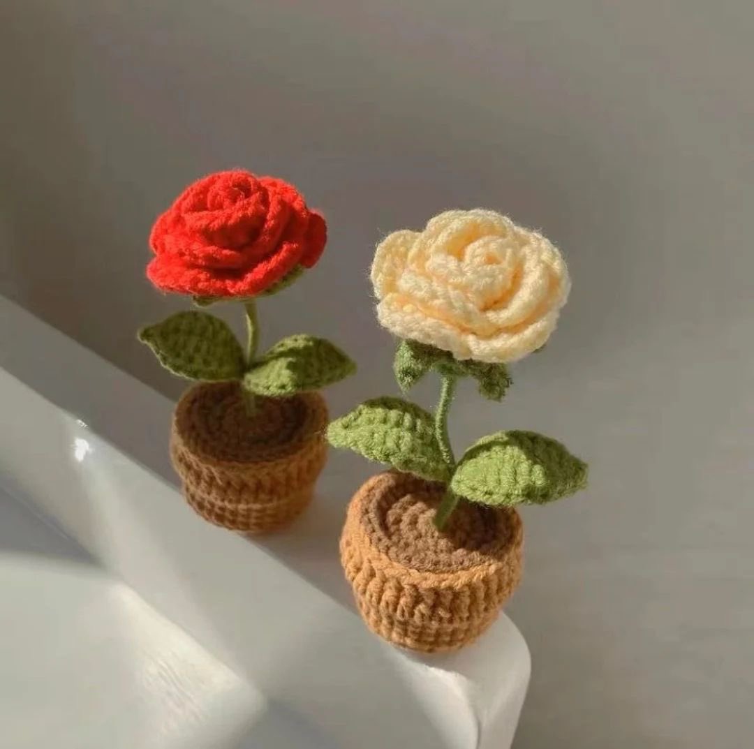 Crochet flower pots 🌺