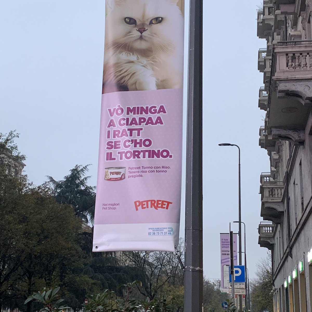gemmagaetani's tweet photo. La campagna #Lampi per #Petreet con uso dellβAI per le immagini dei gatti con espressioni umane Γ¨ carina e fa sorridere. In 4 cittΓ , in ognuna il gatto parla local: a #Milano non va a ciapaβ i ratt, come da (mia) foto, a #Torino se non cβΓ¨ la #vellutata βfuma che andumaβ, a #Napoli apprezza che βchistβΓ¨ tunnββ, a #Roma nota che βanvedi, gajardo βsto peloβ :)π Vi Γ¨ capitato di vedere unβaffissione? #pet #petfood