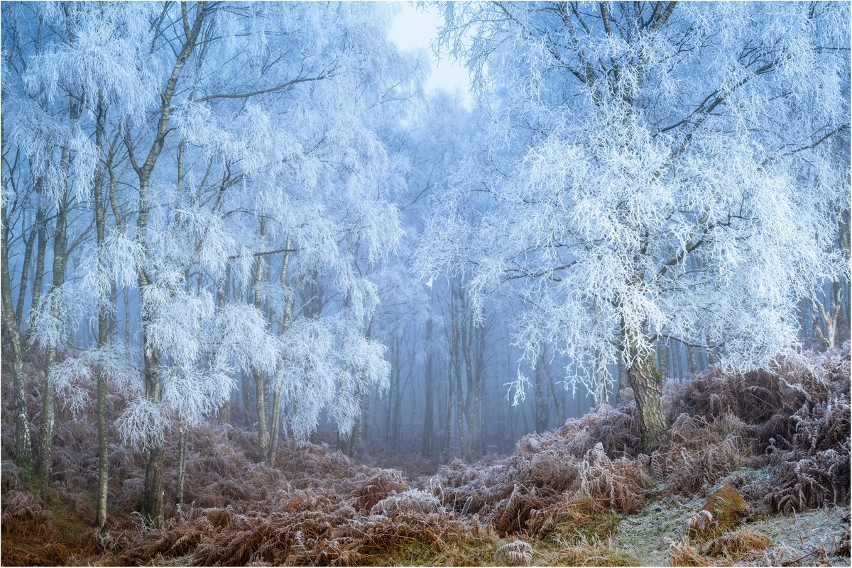 About a year ago we were presented with some conditions in the Lakes that I never expected to see again. This morning we were treated to almost identical conditions but with a little more mist for me making the exposure and processing a little easier.